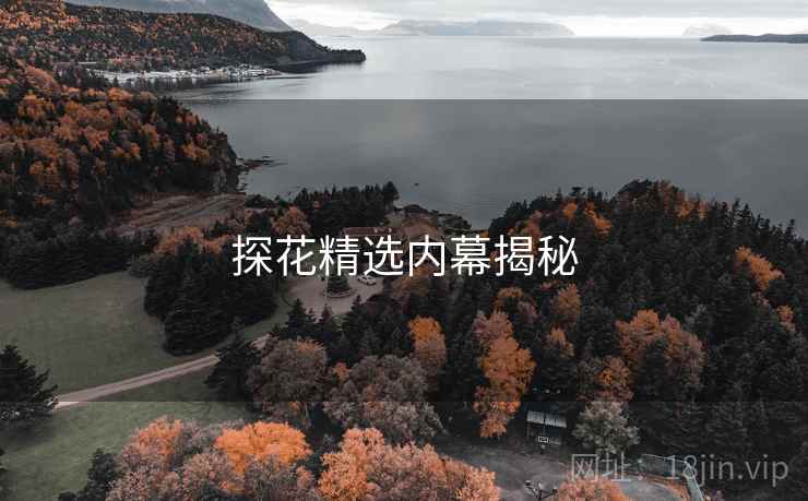 探花精选内幕揭秘 探花精选内幕揭秘