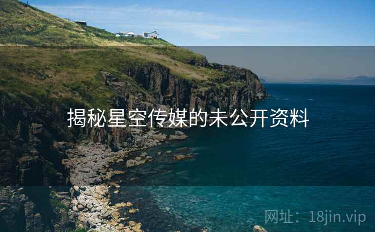 揭秘星空传媒的未公开资料 揭秘星空传媒的未公开资料