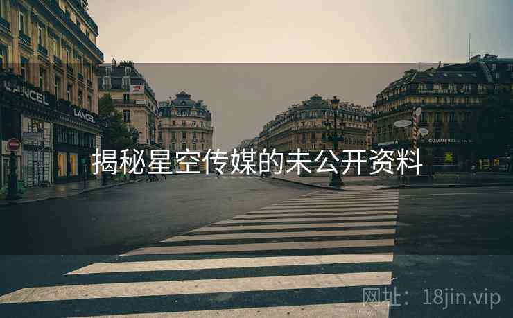 揭秘星空传媒的未公开资料 揭秘星空传媒的未公开资料