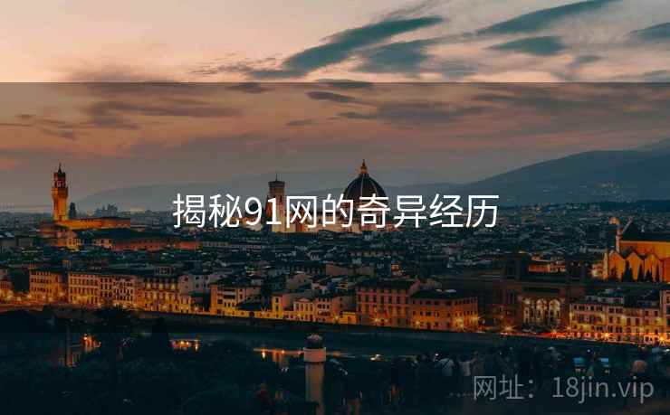 揭秘91网的奇异经历 揭秘91网的奇异经历
