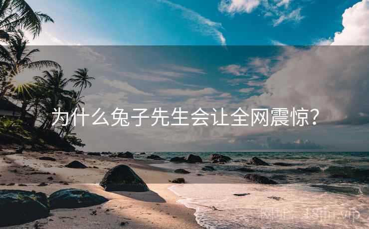 为什么兔子先生会让全网震惊? 为什么兔子先生会让全网震惊?