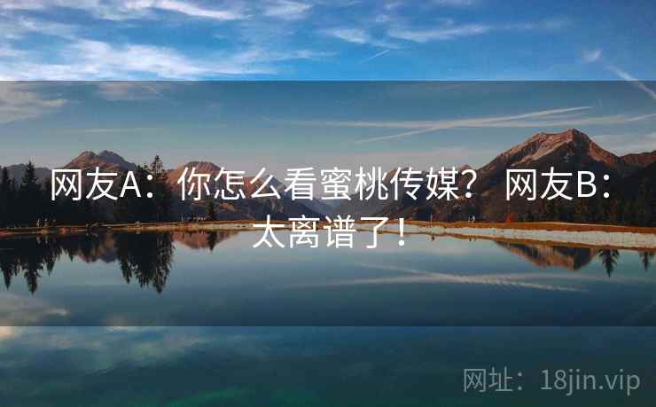 网友A:你怎么看蜜桃传媒? 网友B:太离谱了! 网友A:你怎么看蜜桃传媒? 网友B:太离谱了!