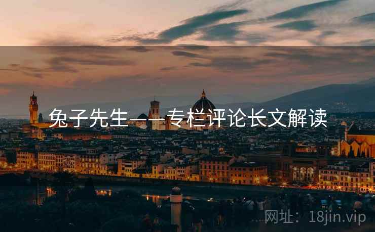 兔子先生——专栏评论长文解读
