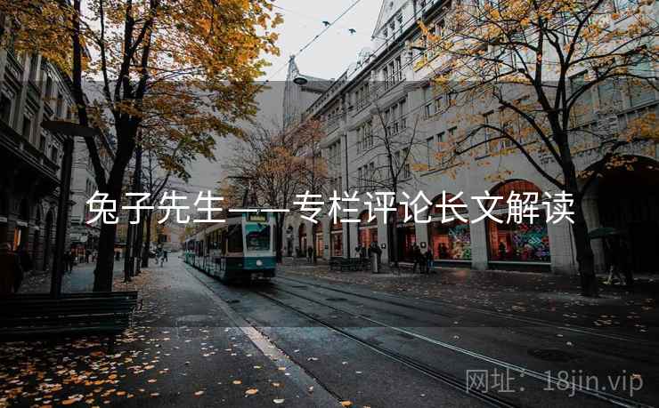 兔子先生——专栏评论长文解读 兔子先生——专栏评论长文解读