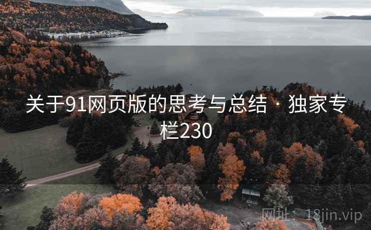 关于91网页版的思考与总结 · 独家专栏230 关于91网页版的思考与总结 · 独家专栏230