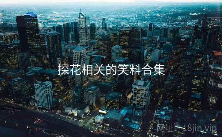 探花相关的笑料合集 探花相关的笑料合集