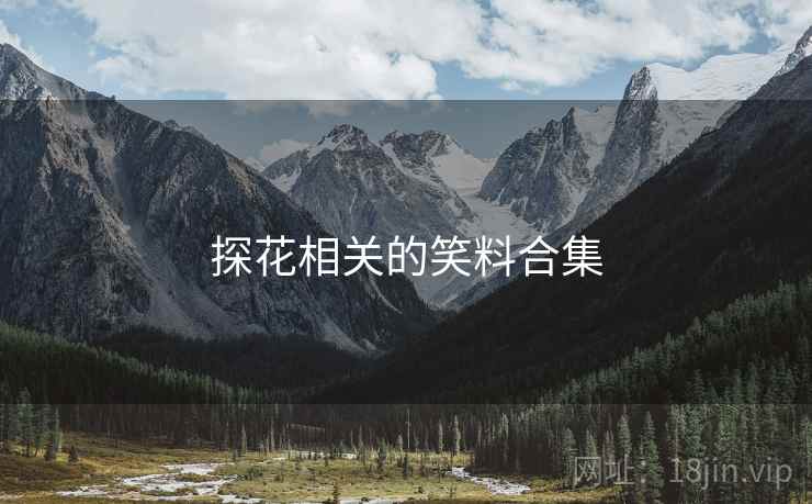 探花相关的笑料合集 探花相关的笑料合集
