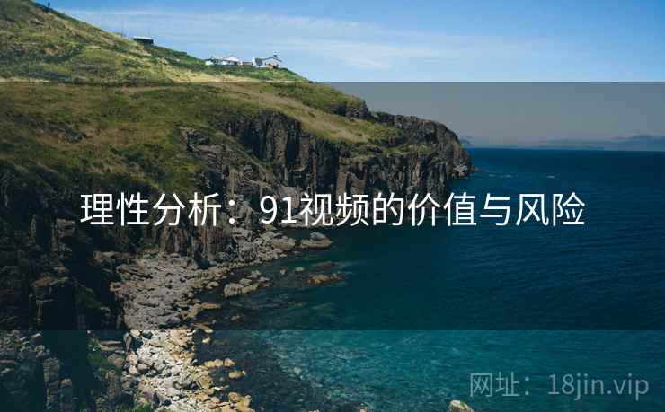 理性分析:91视频的价值与风险 理性分析:91视频的价值与风险