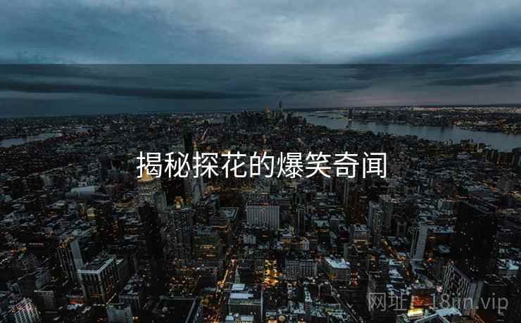 揭秘探花的爆笑奇闻 揭秘探花的爆笑奇闻
