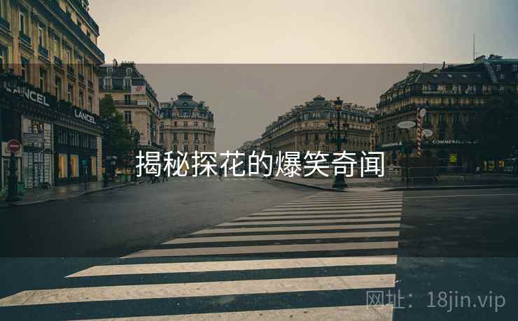 揭秘探花的爆笑奇闻 揭秘探花的爆笑奇闻
