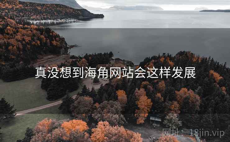 真没想到海角网站会这样发展 真没想到海角网站会这样发展