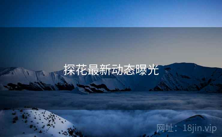 探花最新动态曝光