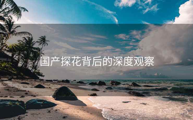 国产探花背后的深度观察 国产探花背后的深度观察