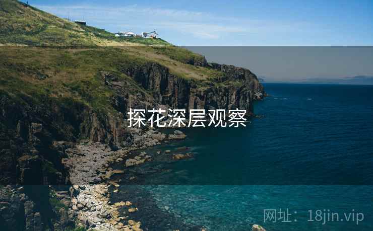 探花深层观察 探花深层观察