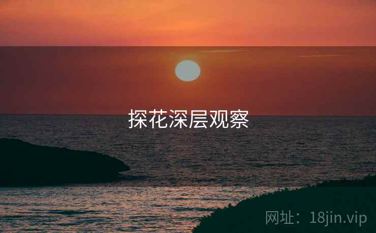 探花深层观察