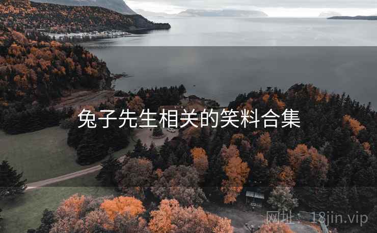 兔子先生相关的笑料合集 兔子先生相关的笑料合集