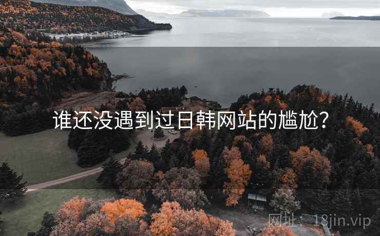 谁还没遇到过日韩网站的尴尬?